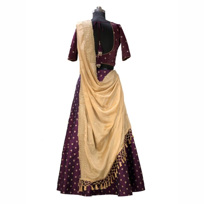 Plits Chaniya Choli - Image 7