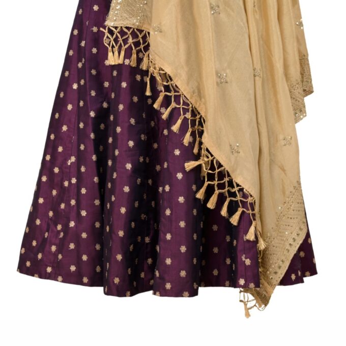 Plits Chaniya Choli - Image 5