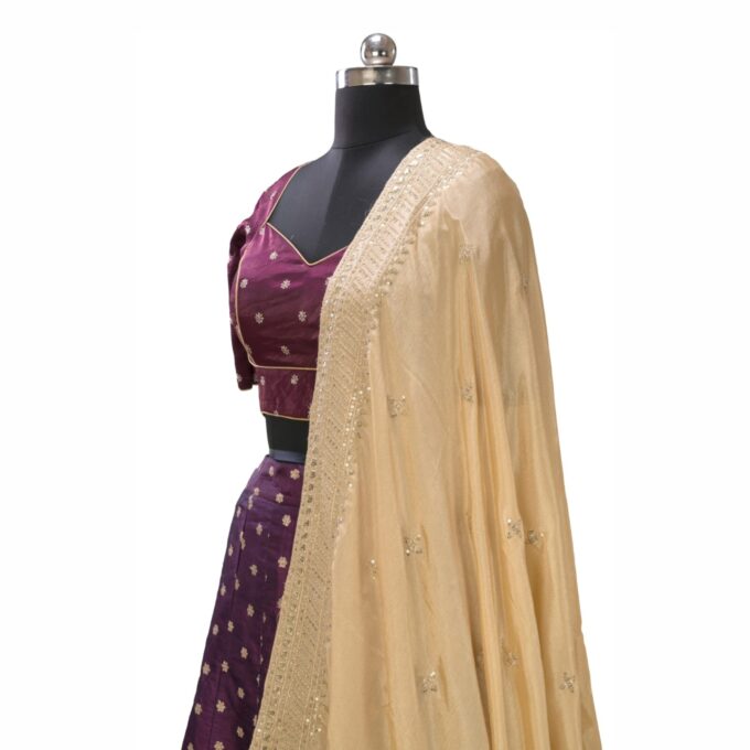 Plits Chaniya Choli - Image 3