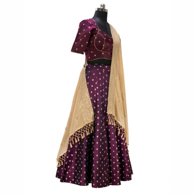 Plits Chaniya Choli - Image 2